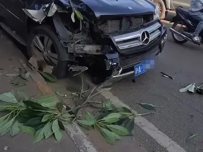 万象一挂中国牌照轿车撞上路灯，交警称：司机打瞌睡了