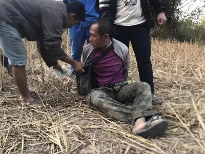 畜生！老挝甘蒙一男子强奸4岁幼童，网友：真该死啊；沙耶武里野象出没，河边觅食...