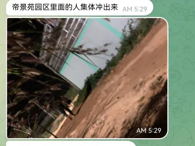 网友投稿：昨晚大其力帝景苑园区几百中国人集体冲出园区