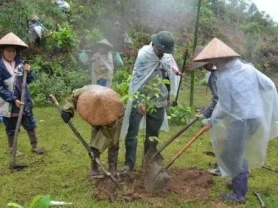 越南谅山省：居民履行村规民约 致力于森林保护工作