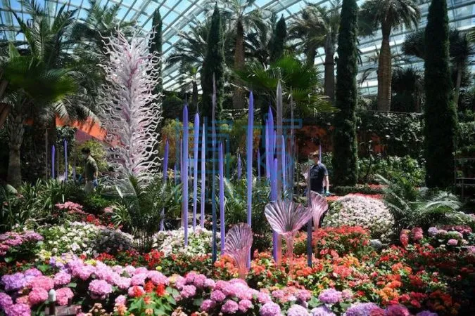 新加坡滨海湾将以绚丽奇幻的花园迎接旅游气泡的旅客-675x450.jpeg