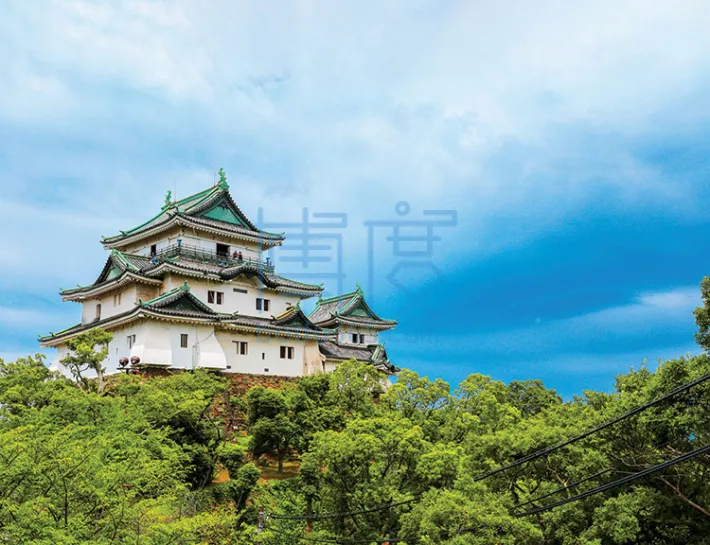 Wakayama-Castle.jpeg