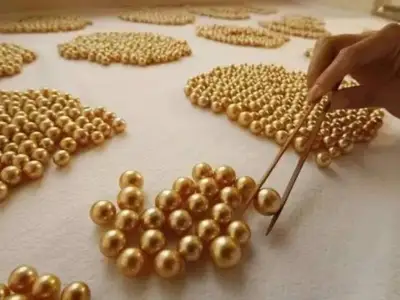 全世界最顶级的菲律宾黄金珍珠，164K披索一颗！