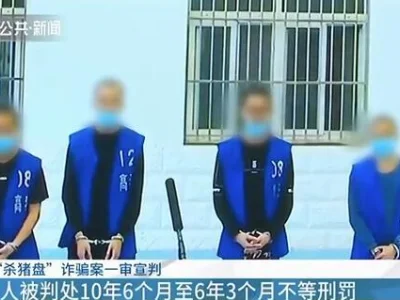四男子赴老挝“分工合作”诈骗南京一单身女子76万，回国后均被判刑！