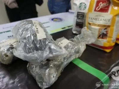 菲律宾海关局在克拉克港查获1公斤走私库什大麻