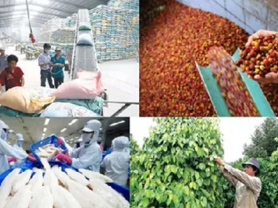 2021年前8个月越南农林水产品贸易顺差萎缩至33亿美元 同比下降48.2%