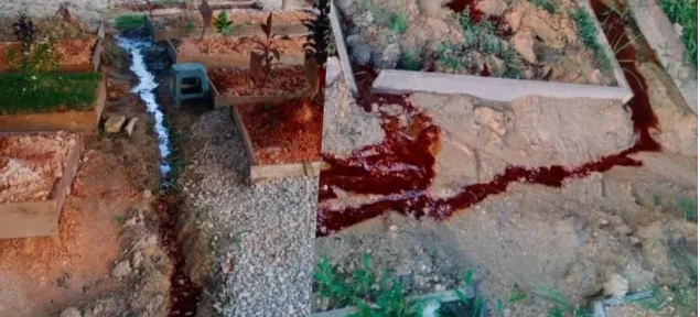 马来墓地出现红色不明液体！政府部门澄清非血液