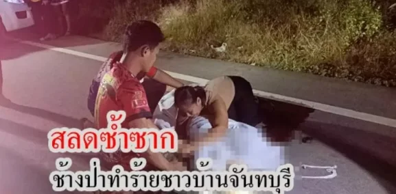 泰国尖竹汶府1名22岁男子被野象踩死！