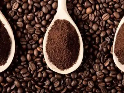 越南咖啡在中国市场份额提升