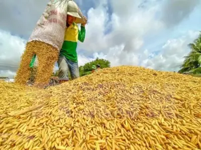 越南农业超额完成全年目标；