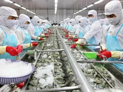 从越南进口商品中又检测出新冠病毒；疫情失控的越南被西方夸赞防疫策略正确