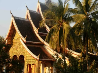 老挝回国新政策