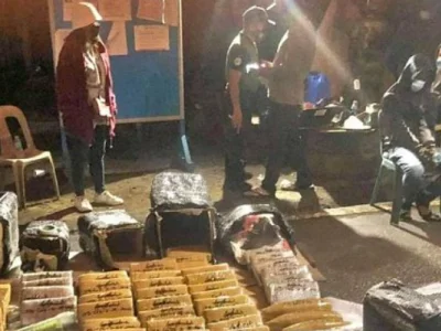 菲律宾卡林嘎省两名游客涉运送1300万披索大麻砖被捕