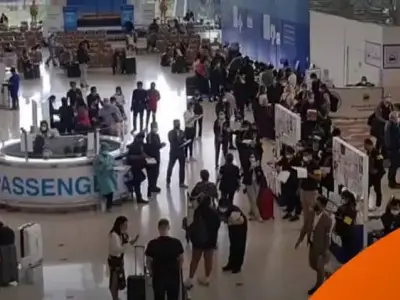 泰国取消始发国RT-PCR检查报告 外国游客数量增加