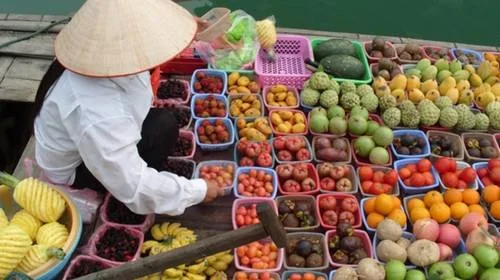 对华出口难，导致越南果蔬出口急剧下降