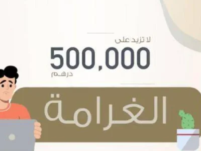 阿联酋：对误导性在线广告、促销活动 处以最高50万迪拉姆的罚款