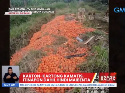 当地西红柿无人问津 菲律宾一省农民忍痛倒掉百公斤农产品
