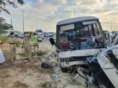 阿联酋与轮胎有关的事故造成 81 人死亡