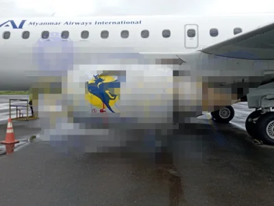 缅甸一架客运飞机疑似撞鸟，航司紧急行动