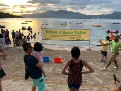 菲律宾苏比克某海滩酒店放生18只小海龟