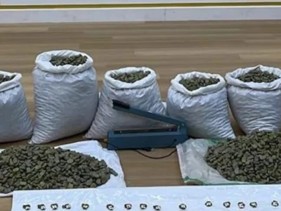 迪拜警方破获重大贩毒案，查获毒品436公斤，六名毒贩被捕