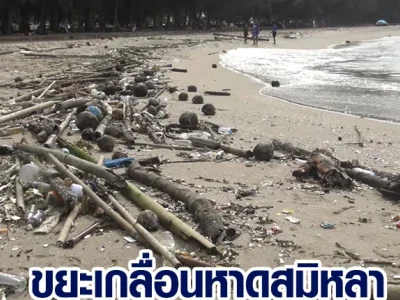 游客扫兴而归！泰国宋卡萨米拉海滩遍地垃圾，无人清理….
