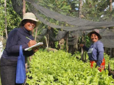 农业专家：鼓励柬埔寨小农户提升生态农业种植！