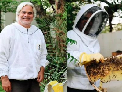 从企业高管到养蜂人，这位住在迪拜的外籍人士乐在其中