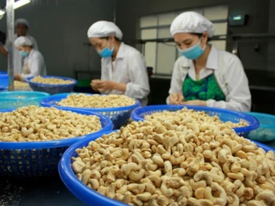 “中国仍然是越南果蔬行业非常重要的出口市场”