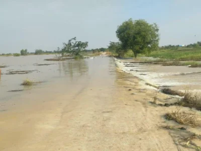 柬埔寨洪水造成800多个民宅受影响，3700公顷稻田受损！
