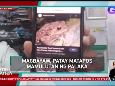 菲律宾巴丹省两人食用毒青蛙 不幸心脏骤停身亡