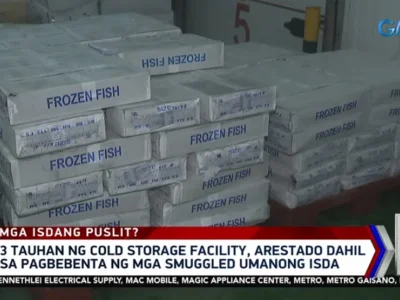 菲律宾那莫沓斯市三人涉非法贩售中国冷冻鱼被捕