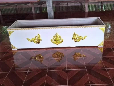 奇迹般生还：泰国女子在自己的葬礼途中醒来
