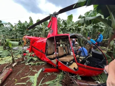 直升机飞行途中失去动力 紧急迫降香蕉园