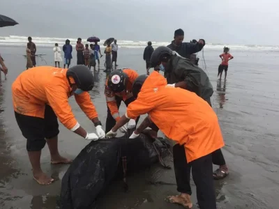 昨天，缅甸一海滩惊现9具尸体，当地人说：昨天还有2具
