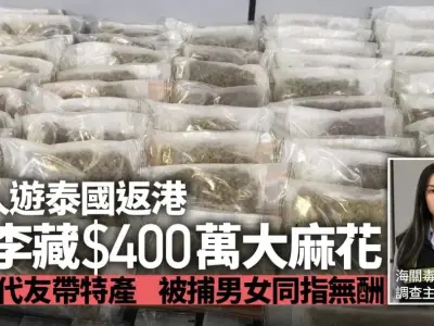 泰国特产是大麻？中国海关一举查获两宗藏毒案！