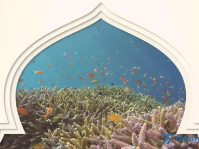 迪拜宣布建造世界上第一座水下浮动清真寺